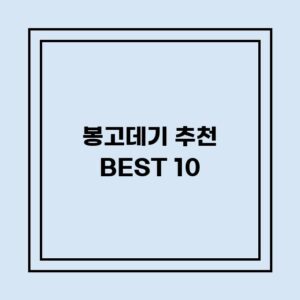 Read more about the article 봉고데기 추천 BEST 10 (가격, 후기, 별점, 상세정보)